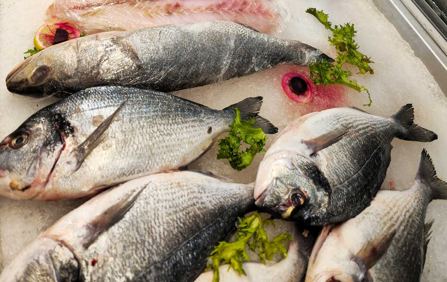 khayrat al jabal fish and meat 2