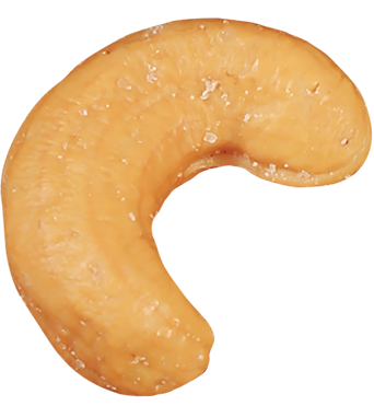 cashew