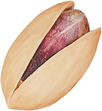 pistachio